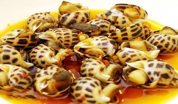 ẩm thực, món ngon, ốc hương biển cách nhận biết & menu bí kíp chế biến ốc hương