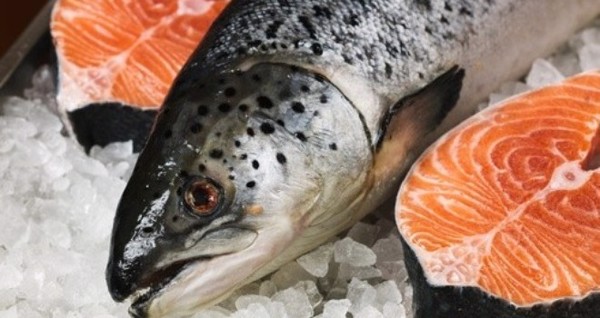 ẩm thực, món ngon, bí kíp cách chế biến cá hồi cho bé ăn dặm hoặc ăn cơm không tanh