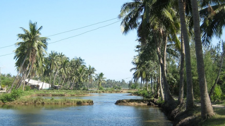 khám phá, trải nghiệm, tam hải- hòn đảo dừa đầy xinh đẹp của quảng nam.