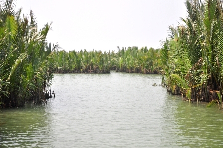Khám phá rừng dừa bảy mẫu độc đáo ở Hội An