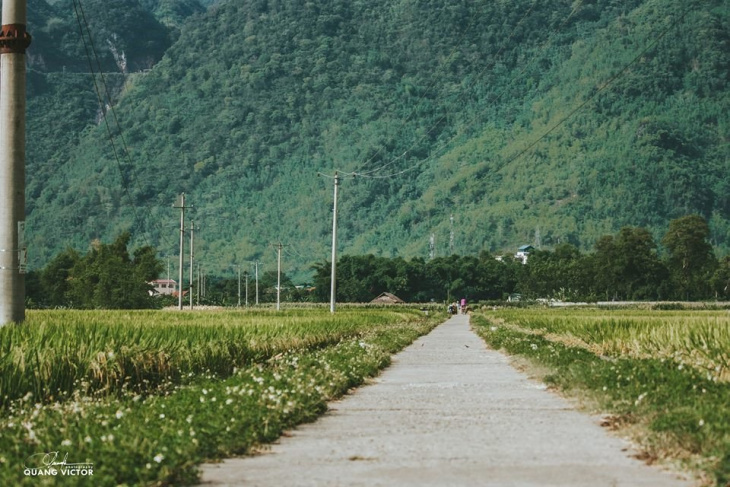 khám phá, trải nghiệm, check in mai châu ‘mùa em thơm nếp xôi’