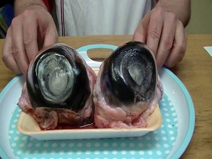ẩm thực, mắt cá ngừ phú yên - đèn pha đại dương