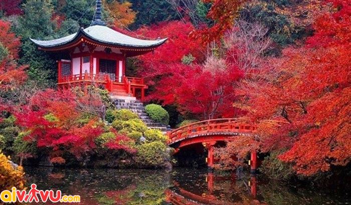 Đến Nhật Bản đón mùa thu ở 9 điểm đến đẹp như thiên đường