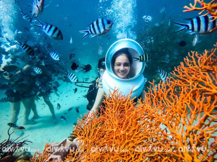 Trải nghiệm đi bộ dưới biển Phú Quốc – Lặn ngắm san hô
