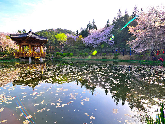 Thăm những thắng cảnh thiên nhiên hút hồn ở Hàn Quốc - ALONGWALKER