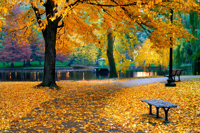 cảnh sắc mùa thu tại những thành phố của mỹ, khám phá, trải nghiệm, cảnh sắc mùa thu tại những thành phố của mỹ