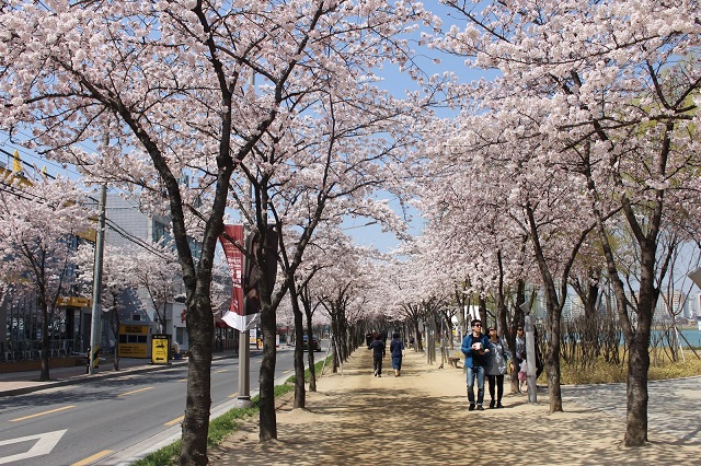 những địa điểm lý tưởng để dã ngoại ở thành phố daegu, khám phá, trải nghiệm, những địa điểm lý tưởng để dã ngoại ở thành phố daegu