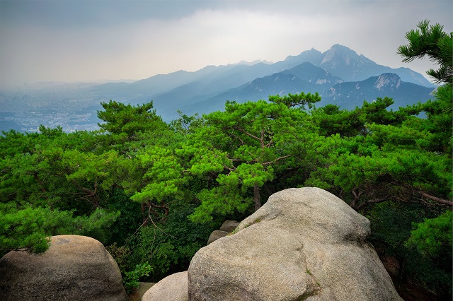 hành trình chinh phục vườn quốc gia bukhansan – seoul, khám phá, trải nghiệm, hành trình chinh phục vườn quốc gia bukhansan – seoul
