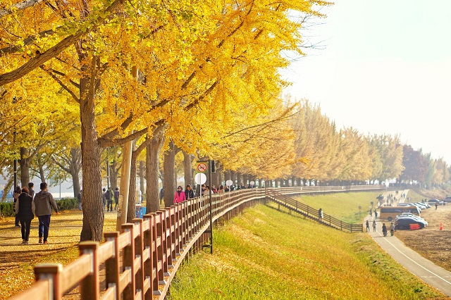 Top 10 địa điểm ngắm lá thu đẹp mê hồn ở Hàn Quốc