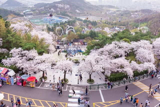 Những địa điểm và khu vui chơi giải trí nổi tiếng ở Daegu