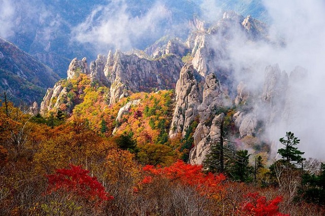 Top 5 địa điểm ngắm lá thu tuyệt đẹp gần thành phố Seoul