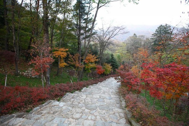 top 5 địa điểm ngắm lá thu tuyệt đẹp gần thành phố seoul, khám phá, trải nghiệm, top 5 địa điểm ngắm lá thu tuyệt đẹp gần thành phố seoul