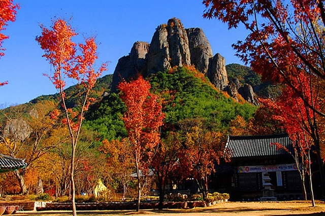 top 5 địa điểm ngắm lá thu tuyệt đẹp gần thành phố seoul, khám phá, trải nghiệm, top 5 địa điểm ngắm lá thu tuyệt đẹp gần thành phố seoul