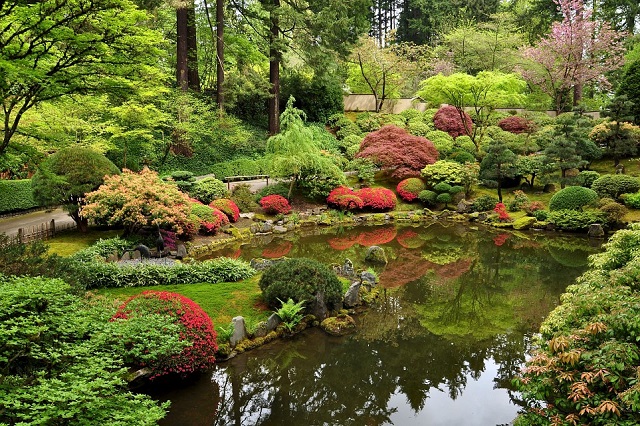 Thưởng ngoạn vẻ đẹp vườn trà Nhật Bản ở công viên Cổng Vàng, Mỹ