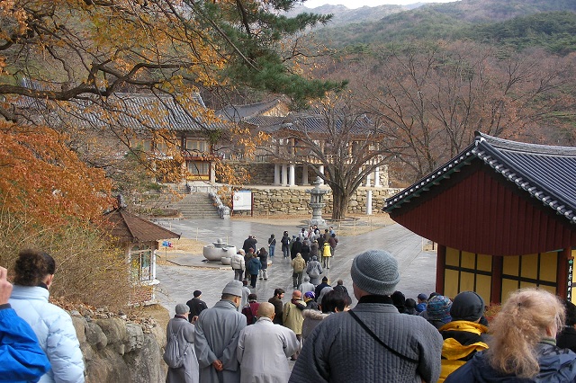 Ghé thăm những ngôi chùa nổi tiếng nhất ở Daegu