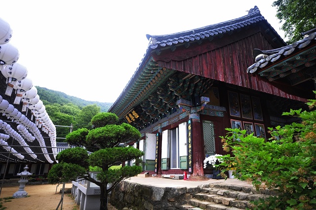 ghé thăm những ngôi chùa nổi tiếng nhất ở daegu, khám phá, trải nghiệm, ghé thăm những ngôi chùa nổi tiếng nhất ở daegu