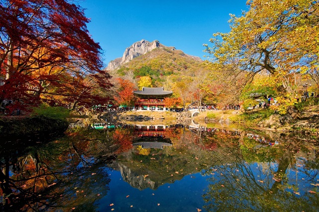 những địa điểm ngắm mùa thu ở gần thủ đô seoul, khám phá, trải nghiệm, những địa điểm ngắm mùa thu ở gần thủ đô seoul