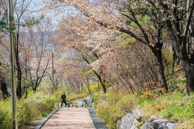 top 6 công viên xanh tuyệt đẹp ở seoul, khám phá, trải nghiệm, top 6 công viên xanh tuyệt đẹp ở seoul