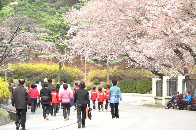 Những địa điểm du lịch có khung cảnh đẹp nhất tại thành phố Daegu