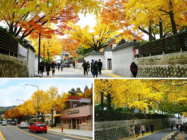 mùa thu vàng ở seoul cùng những điểm đến tuyệt vời, khám phá, trải nghiệm, mùa thu vàng ở seoul cùng những điểm đến tuyệt vời