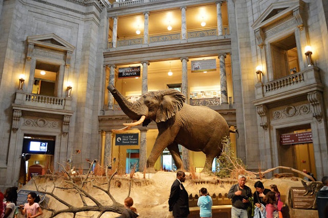 Những bảo tàng nổi bật nhất của Viện Smithsonian Washington