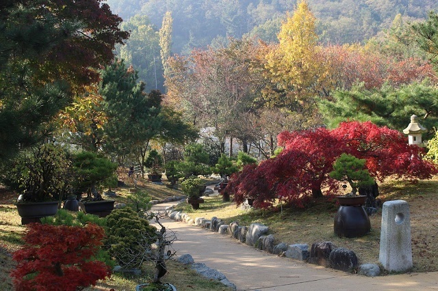 Tham quan các công viên và khu vườn đẹp nhất ở thành phố Daegu