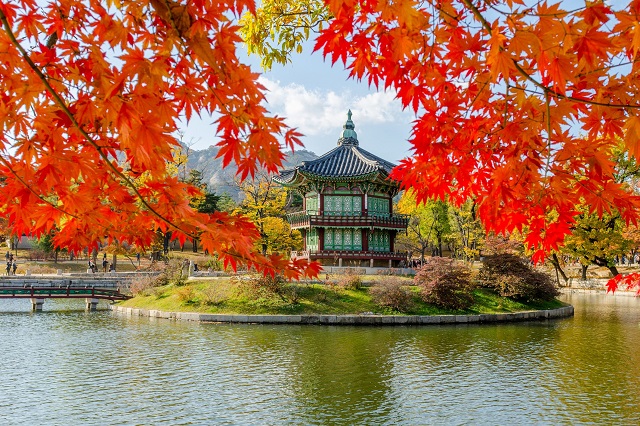 Check in những điểm du lịch mùa thu đẹp “mê hồn” ở Seoul