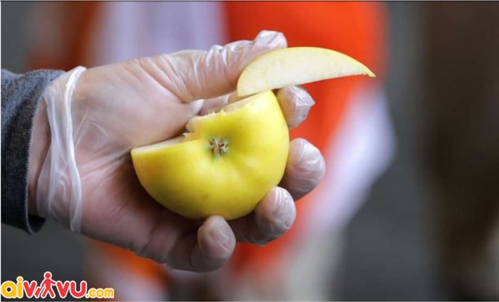 Những điều cần biết khi mang trái cây, các loại hạt và rau củ quả lên máy bay