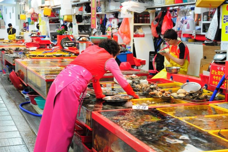 hàn quốc, ghé thăm jagalchi – khu chợ cá lớn nhất hàn quốc