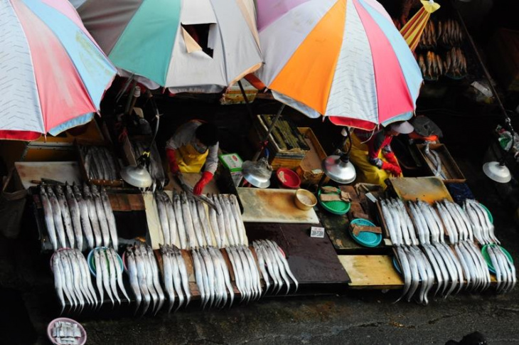 hàn quốc, ghé thăm jagalchi – khu chợ cá lớn nhất hàn quốc
