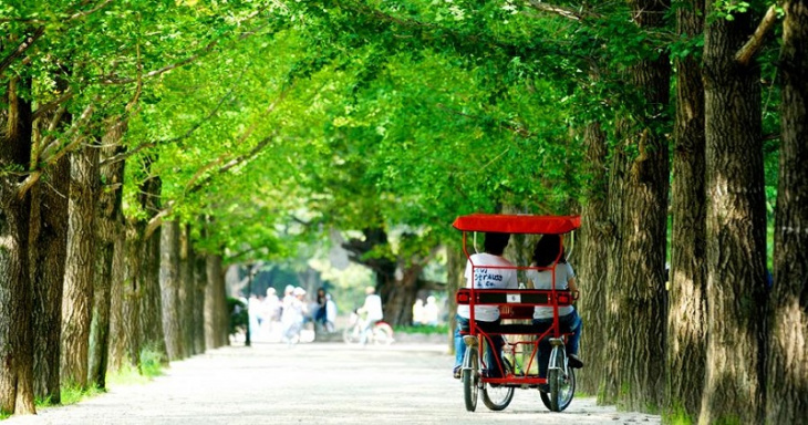 hàn quốc, văn hóa hàn quốc, những hình ảnh đất nước hàn quốc khiến bạn phải mê mẩn