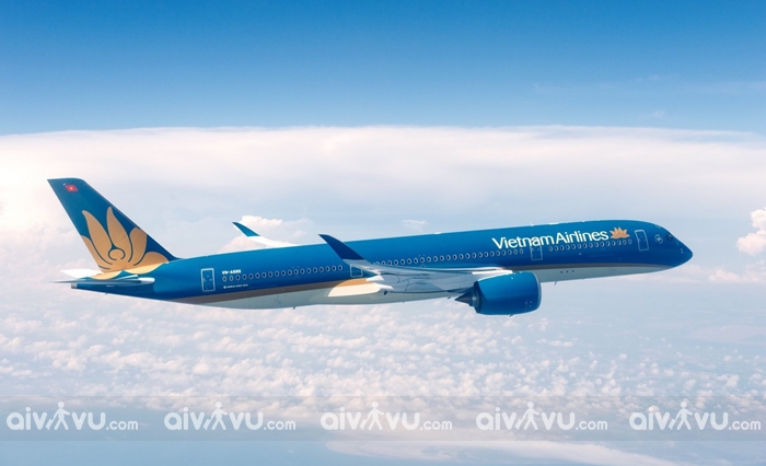 Tìm hiểu siêu máy bay thân rộng hiện đại Vietnam Airlines