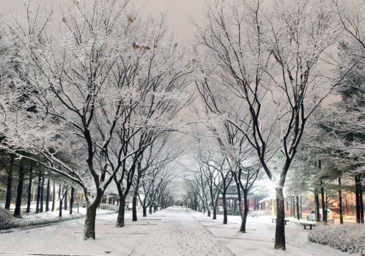 Du lịch Hàn Quốc mùa đông có điều gì thú vị?