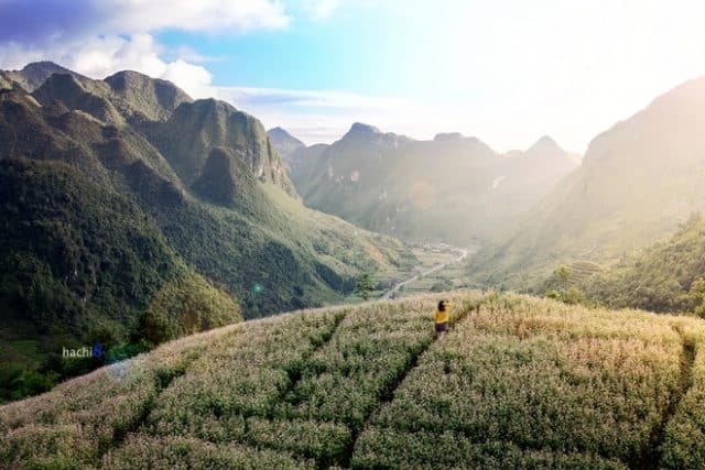 địa điểm,   												tháng 9 này lạc lối giữa cánh đồng hoa tam giác mạch đà lạt