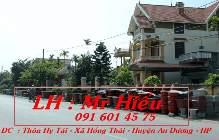 hải phòng, top 5 địa điểm bán chậu trồng cây cảnh tại hải phòng uy tín