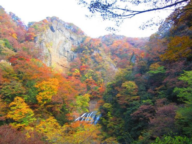 thác fukuroda – kiệt tác của thiên nhiên ở ibaraki