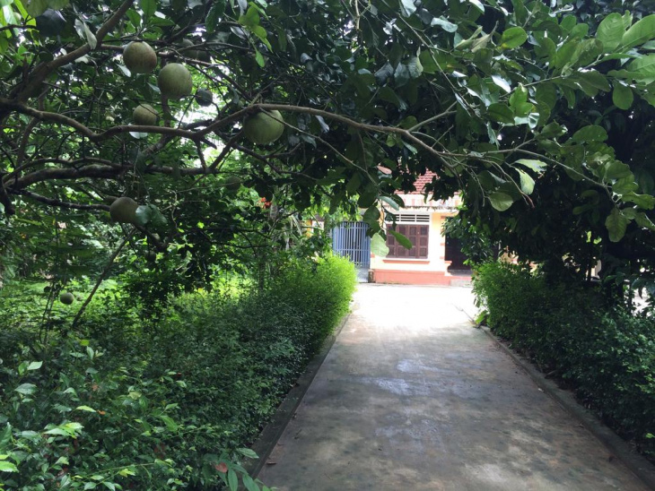 Hue Garden House – Về Với Nhà Vườn Ngát Xanh Tại Huế
