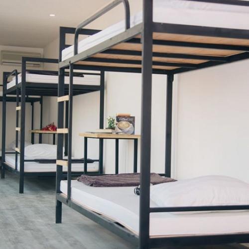 homestay huế, hue plumeria hostel & backpackers  – hostel nghỉ dưỡng tại huế