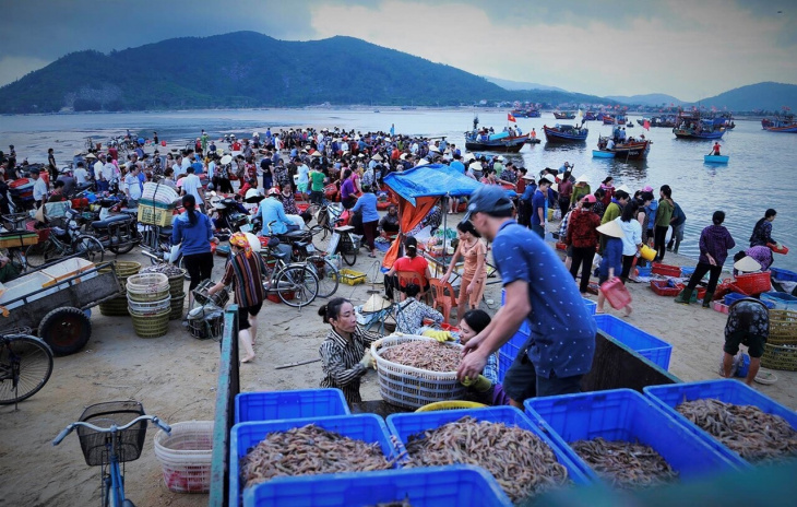 Bỏ túi ngay top 10 chợ hải sản Đà Nẵng tươi ngon, giá cực rẻ