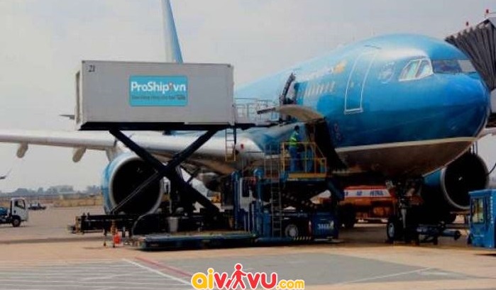 châu âu, quy định hành lý cồng kềnh của hãng hàng không vietnam airlines