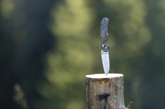 kinh nghiệm, gợi ý cách lựa chọn và bảo quản dao đi rừng