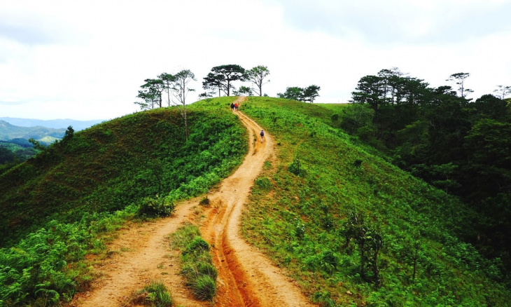 Review trekking Tà Năng – Phan Dũng 2 ngày 1 đêm