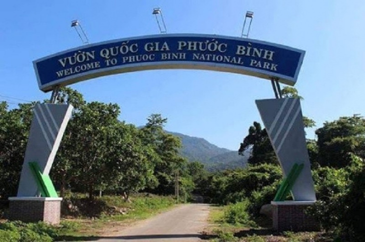 Rừng Phước Bình – lá phổi xanh của Ninh Thuận
