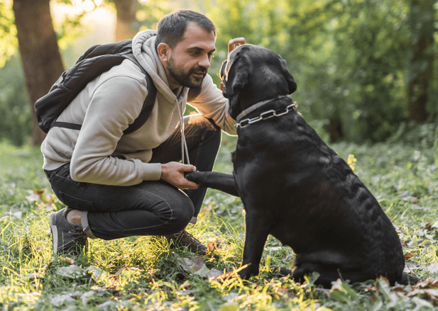 kinh nghiệm, trekking cùng thú cưng – người bạn đồng hành thú vị