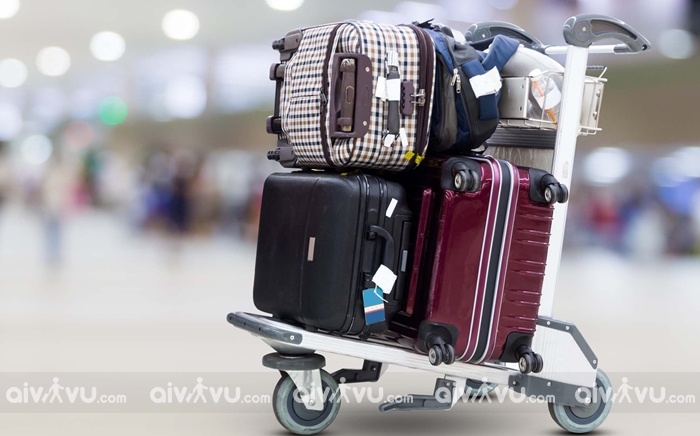 châu á, phí mua hành lý quá cước japan airlines bao nhiêu?