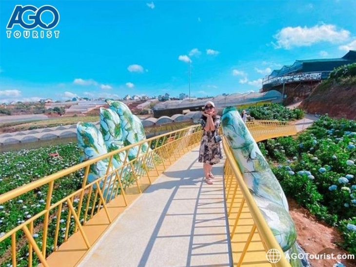 địa điểm,   												top 2 cây cầu vàng đà lạt đẹp nổi tiếng nhất