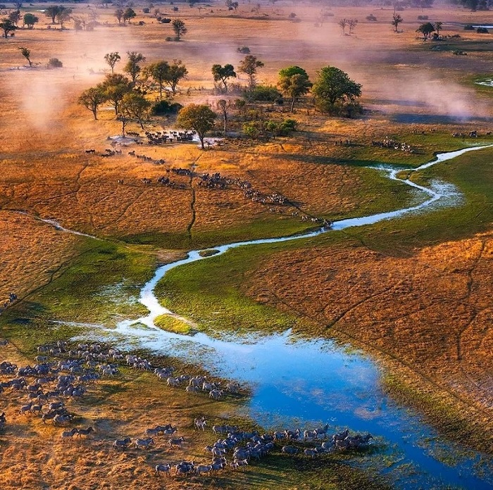 đồng bằng okavango, khám phá, trải nghiệm, tham quan đồng bằng nội địa lớn nhất thế giới nằm giữa sa mạc châu phi