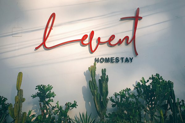 Le Vent Homestay Tam Đảo - Chốn nghỉ dưỡng tuyệt vời