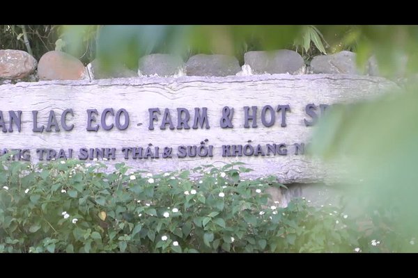 homestay, an lạc eco farm and hot springs - mảnh đất nuôi dưỡng tâm hồn thanh tịnh tại hòa bình