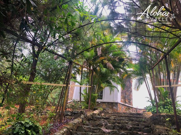 homestay, aloha valley - nơi ẩn mình của người yêu thiên nhiên
